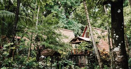 Oceanside deluxe bungalow with AC. King size bed and indoor/outdoor bathroom