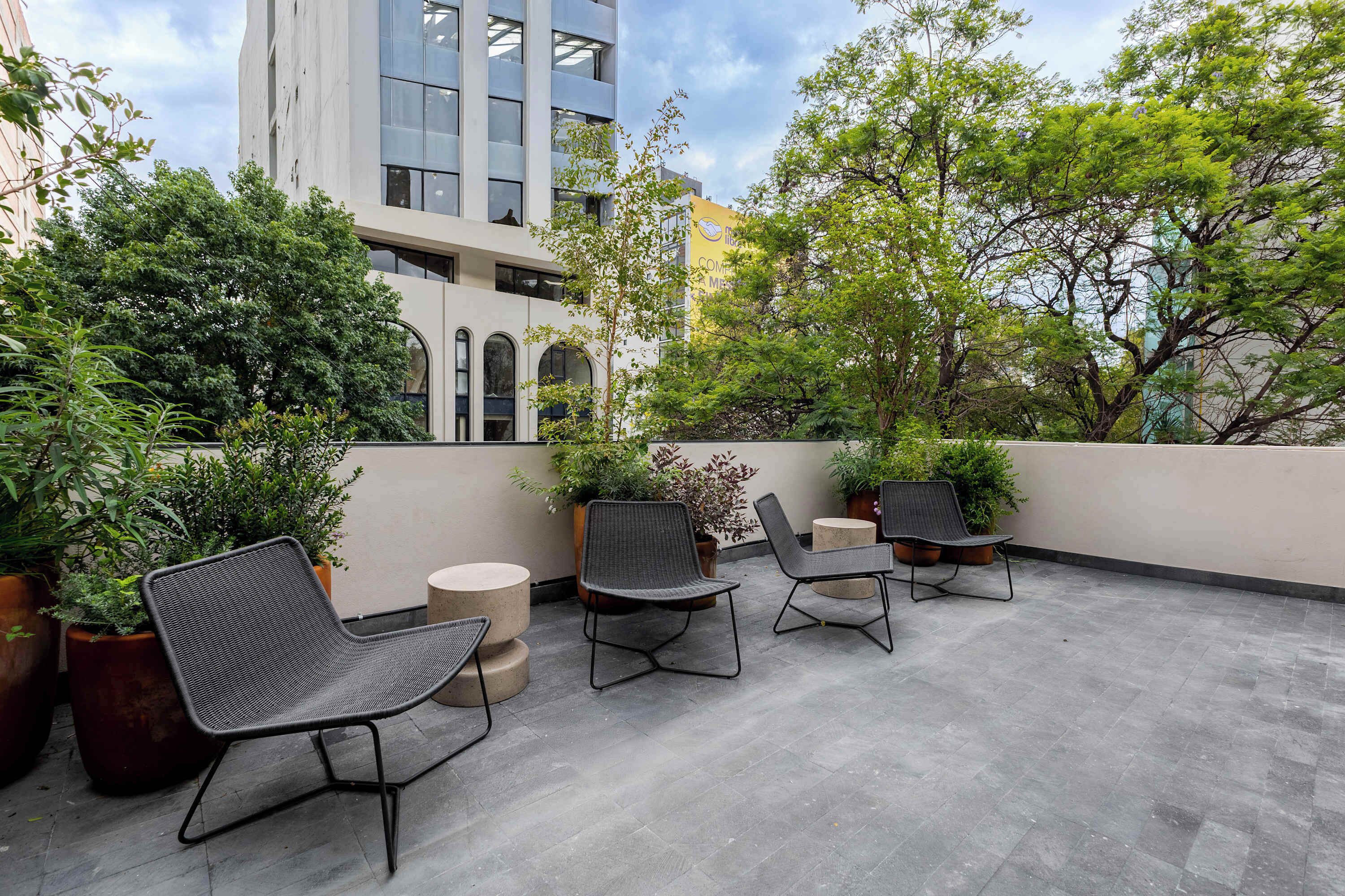 Terraza o patio