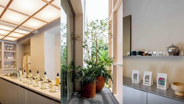 Ein modernes Badezimmer mit einer Duschkabine aus Glas, einem Blumentopf und einem Ablagebereich für Toilettenartikel.
