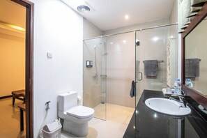Hair dryer, towels, toilet paper