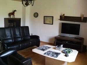 TV, DVD player, stereo - Apartment 'Koppelblick' with Private Terrace, Shared Garden and Wi-Fi (Plattenburg)