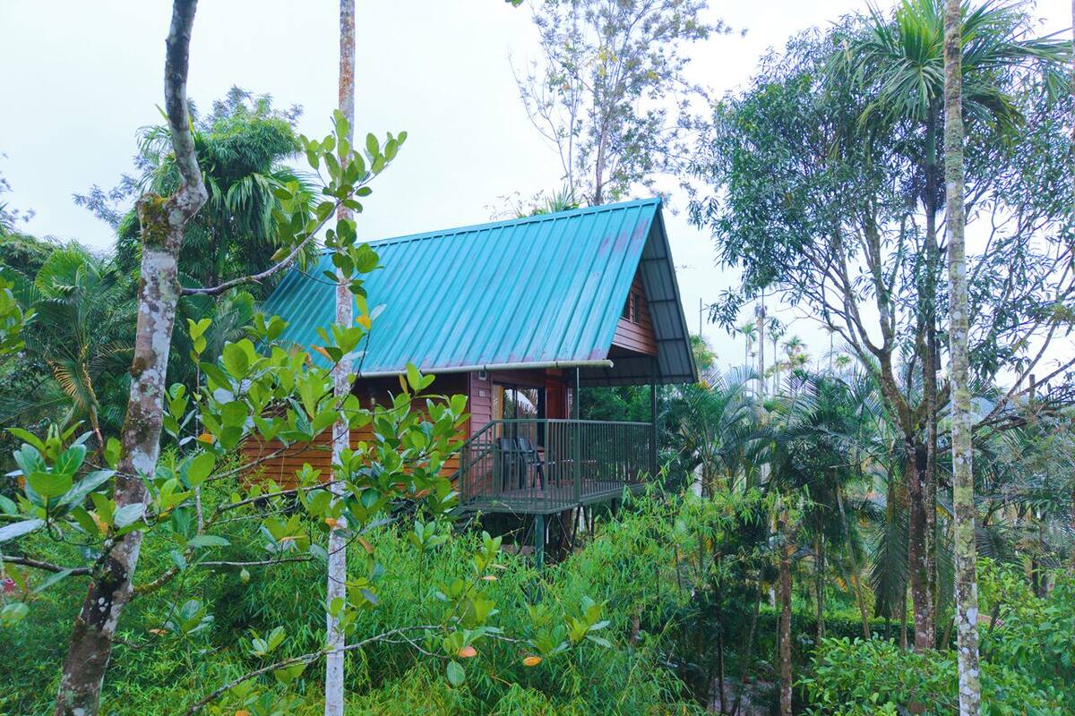 Caribbean Treehut | Iron/ironing board, free WiFi