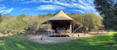 Enceinte de l’hébergement