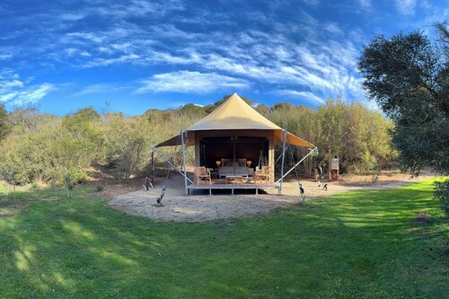 Submerse yourself in nature - Unique Glamping experience, Mornington Peninsula.