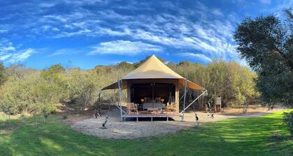 Submerse yourself in nature - Unique Glamping experience, Mornington Peninsula.
