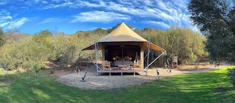 Submerse yourself in nature - Unique Glamping experience, Mornington Peninsula.