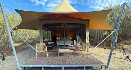 Submerse yourself in nature - Unique Glamping experience, Mornington Peninsula.