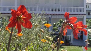 Un edificio bianco con un balcone e un giardino fiorito di fiori rossi.