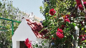 Un edificio bianco con tetto spiovente, un piccolo patio con una sedia bianca e un cespuglio di rose con fiori rossi.
