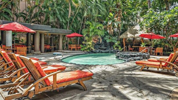 Un espace piscine agrémenté de chaises longues et de parasols, entouré d’une végétation tropicale.