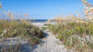 A sandy beach path with tall grasses leading to the sea.