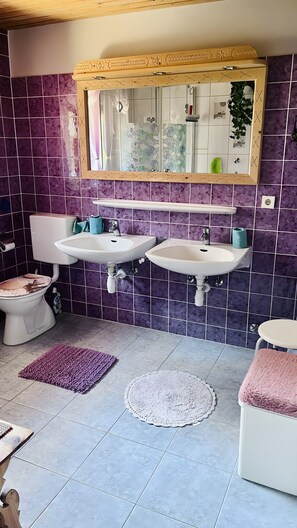 Shower, hair dryer, towels - Apartment 'Ferienwohnung Seeseite' with Lake View, Shared Terrace and Wi-Fi (Bad Bayersoien)