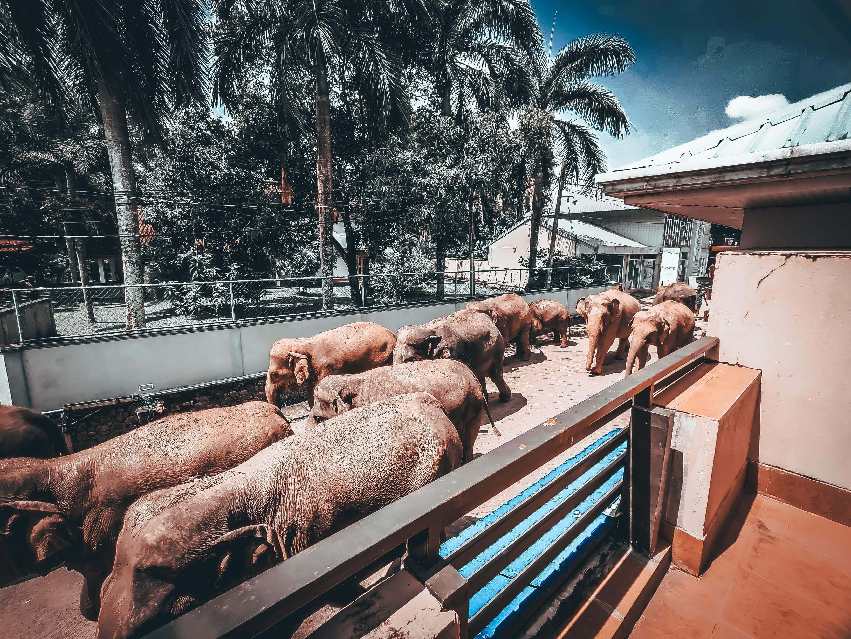 Deluxe Double Room, Balcony, Courtyard View | Minibar, free WiFi, bed sheets