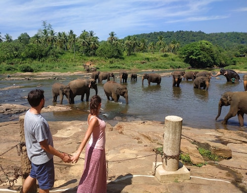 Hotel Elephant Park