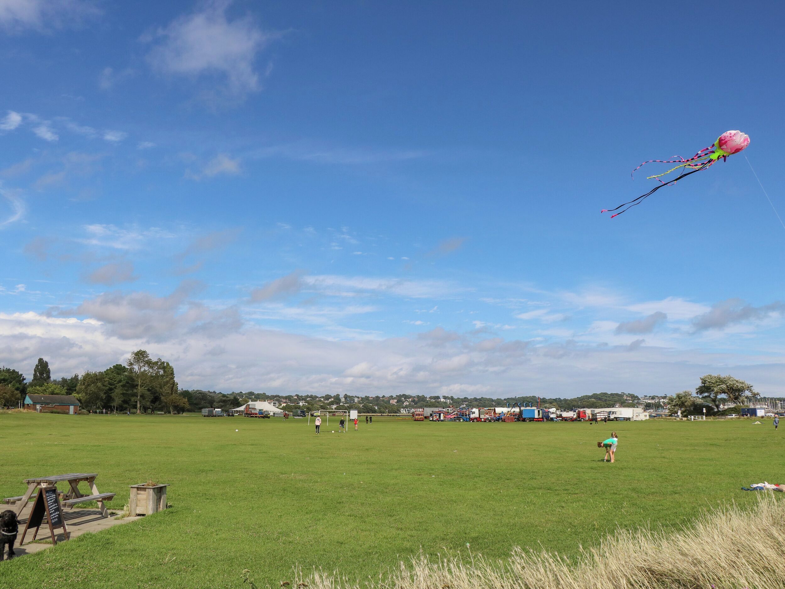 A grassy field with picnic tables and a kite flying in the sky.