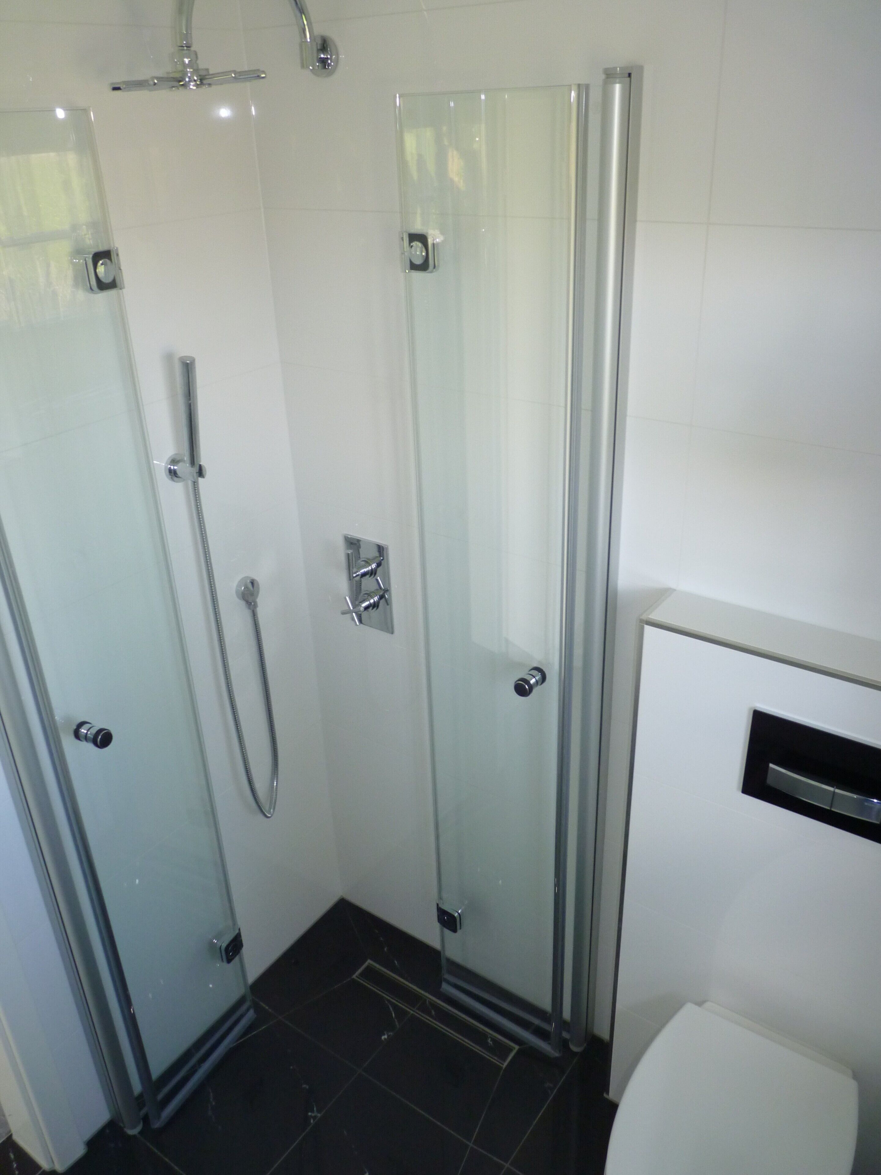 A modern bathroom with a glass-enclosed shower, a toilet, and a sink.