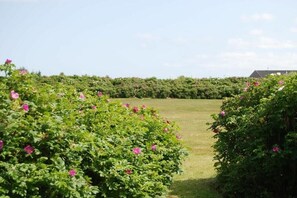 Terrain de lâhĂ©bergement