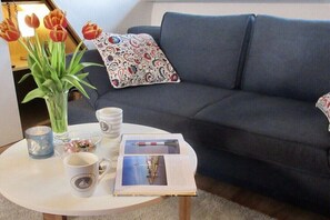 Téléviseur connecté, livres