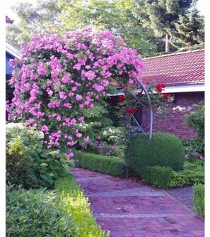 Property grounds - Holiday Apartment Northern Lights (Oldenburg)