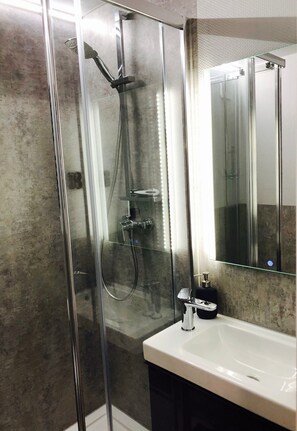 Shower, hair dryer, towels