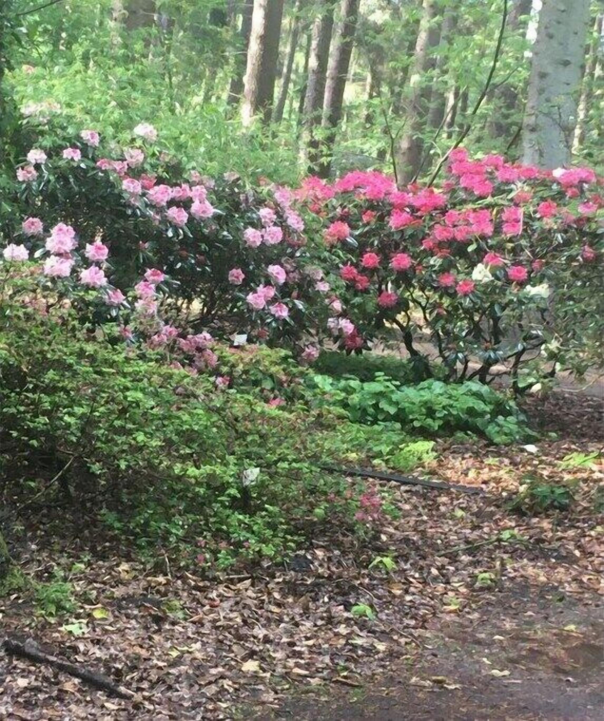 Jardines del alojamiento