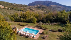 A rectangular swimming pool with lounge chairs and umbrellas, surrounded by a grassy area with trees and hills in the background. - Apartment in a farmhouse with swimming pool (Assisi)