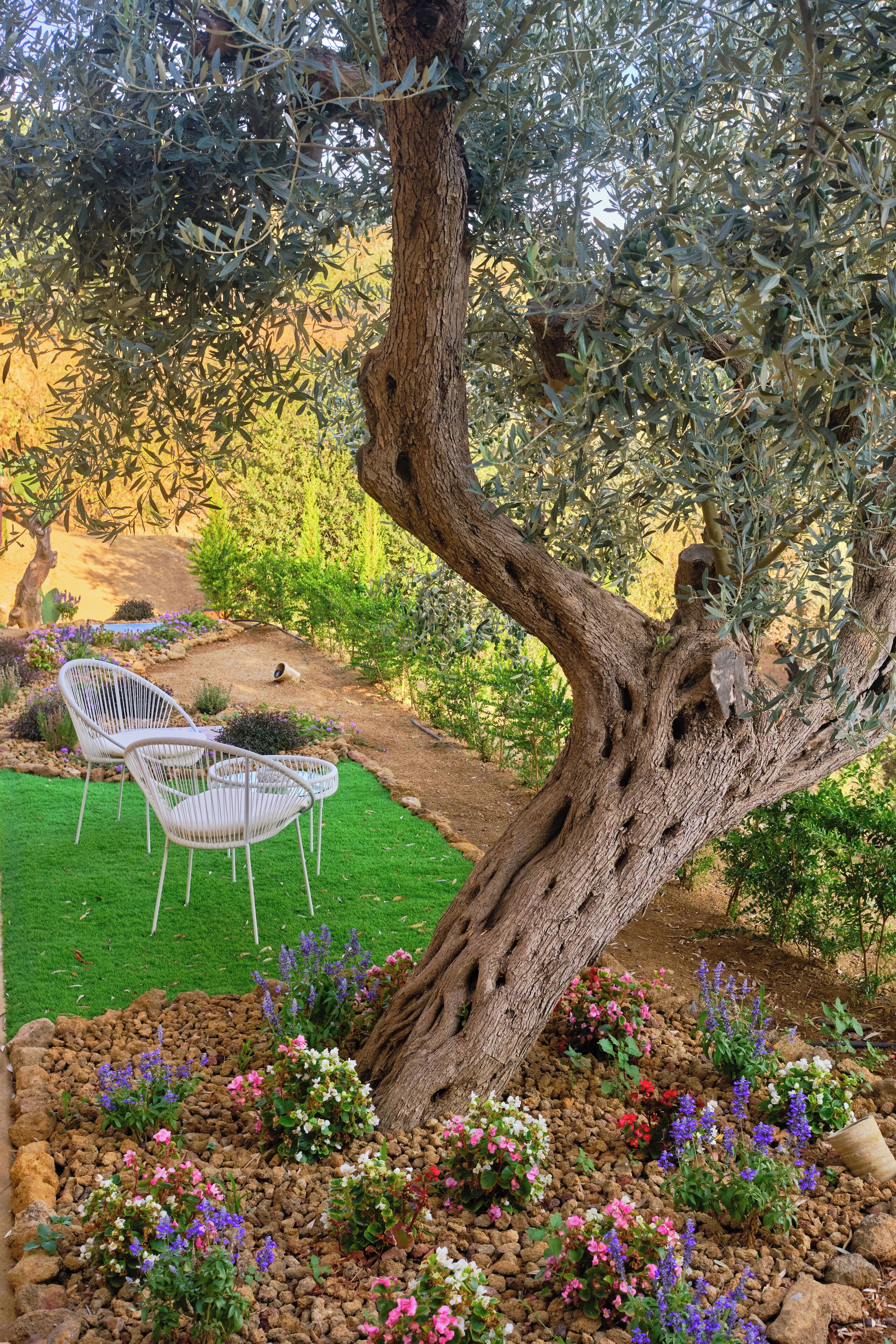 A garden with a large tree, a white chair, and a small table.