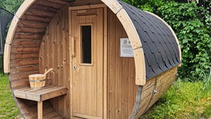 A wooden sauna with a door, a small wooden bench, and a bucket.