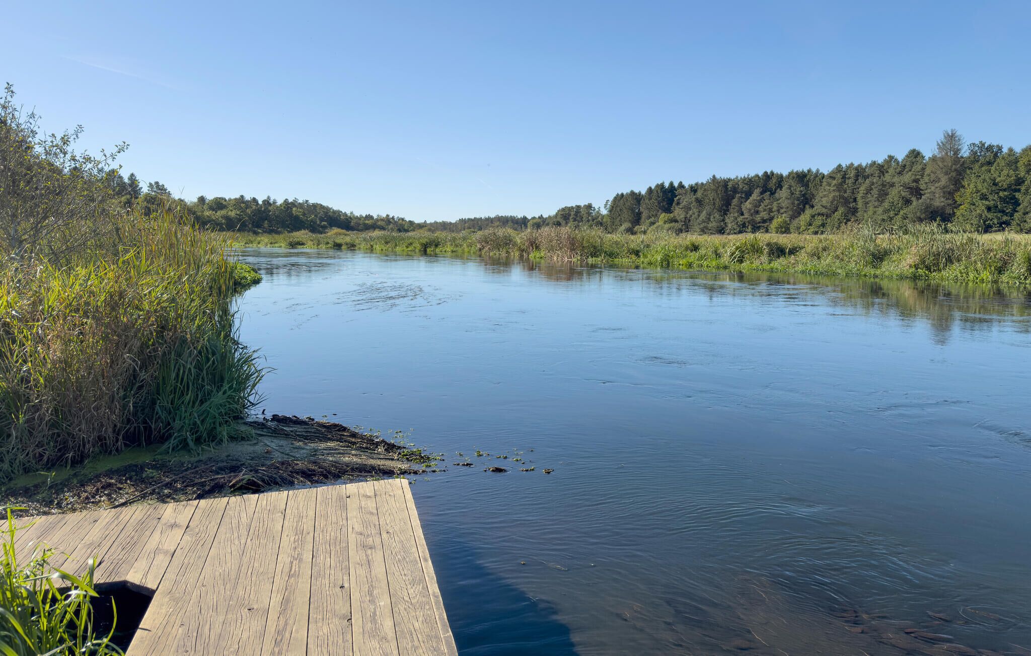Un fiume calmo con un molo di legno che si protende nell'acqua.