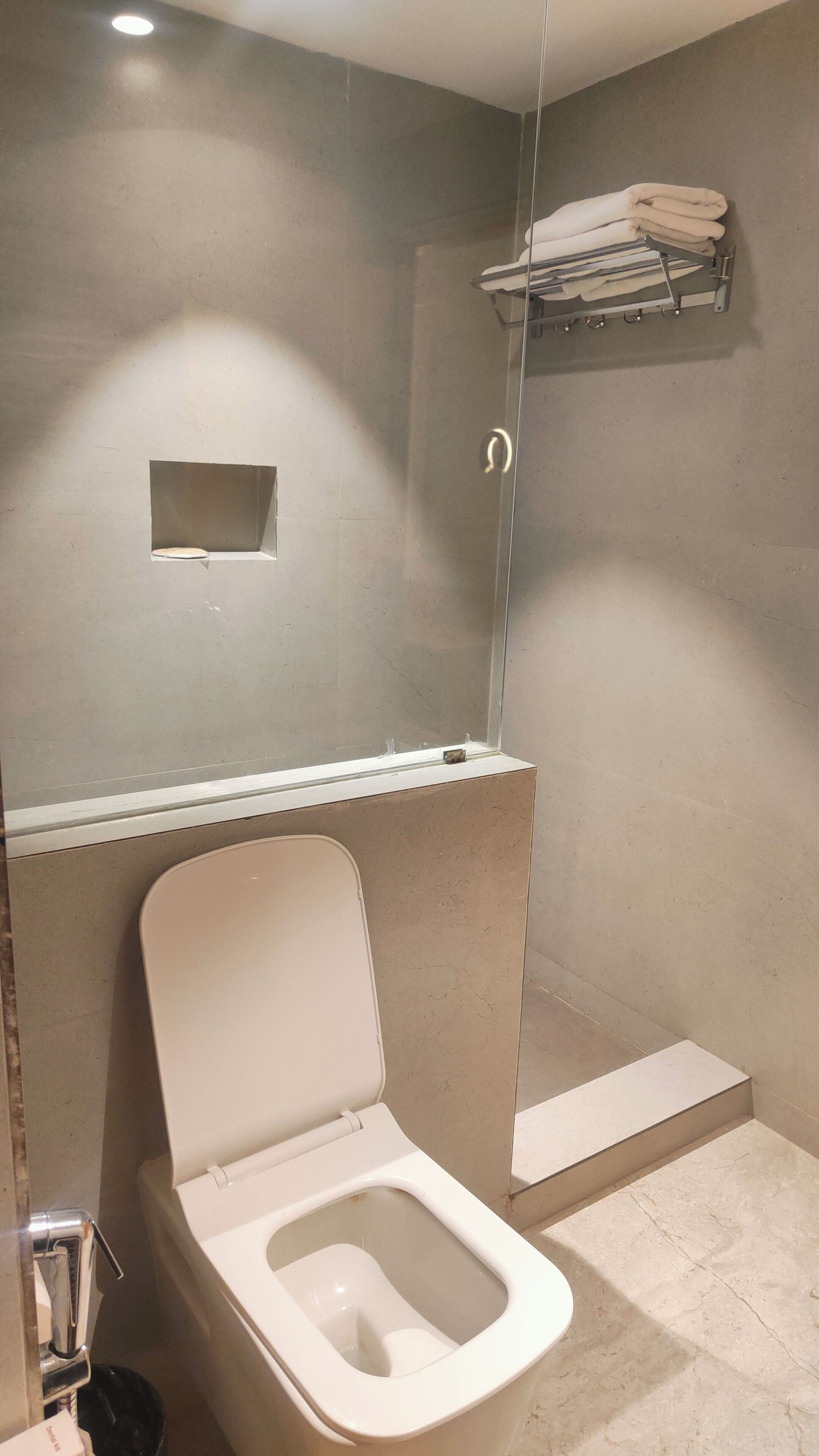 A modern bathroom with a toilet, a shower, and a towel rack.