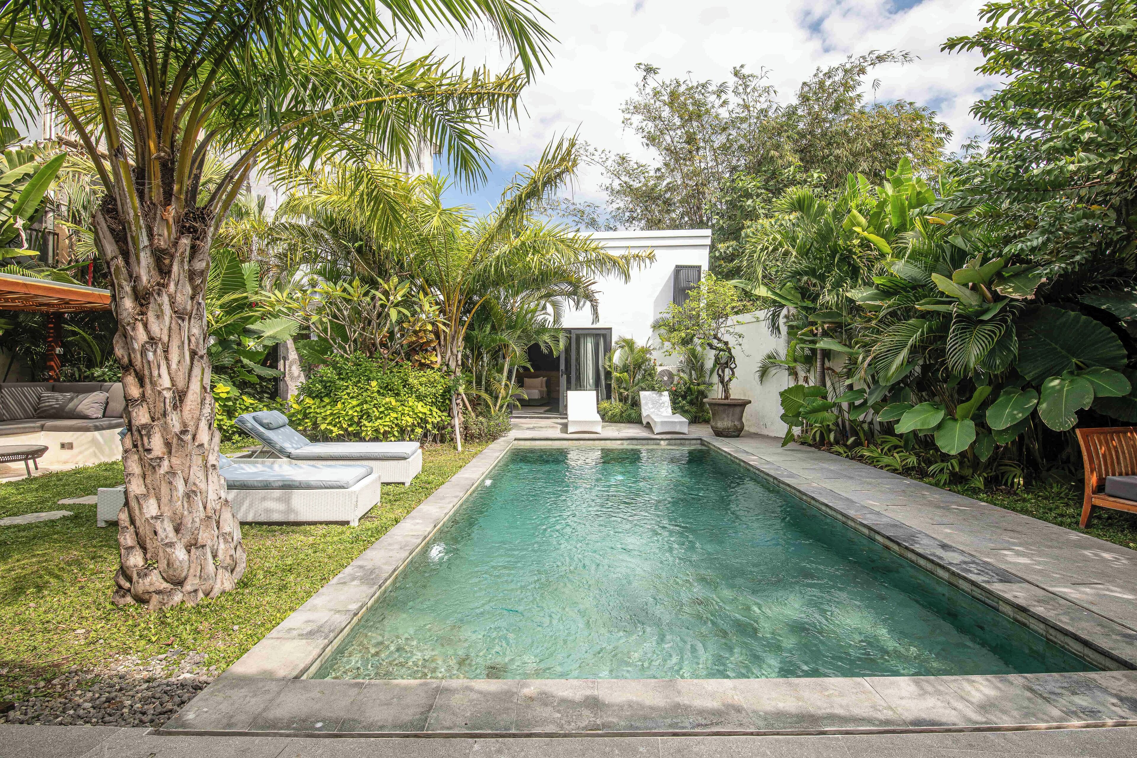 Uma piscina retangular com água cristalina, rodeada por vegetação exuberante e um edifício branco ao fundo.