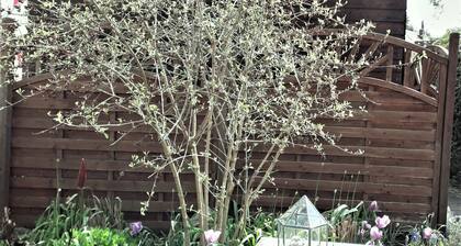 Apartment 'Zimmer 32'