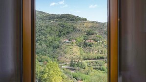 Vista desde una ventana sobre una colina con edificios dispersos y abundante vegetación.