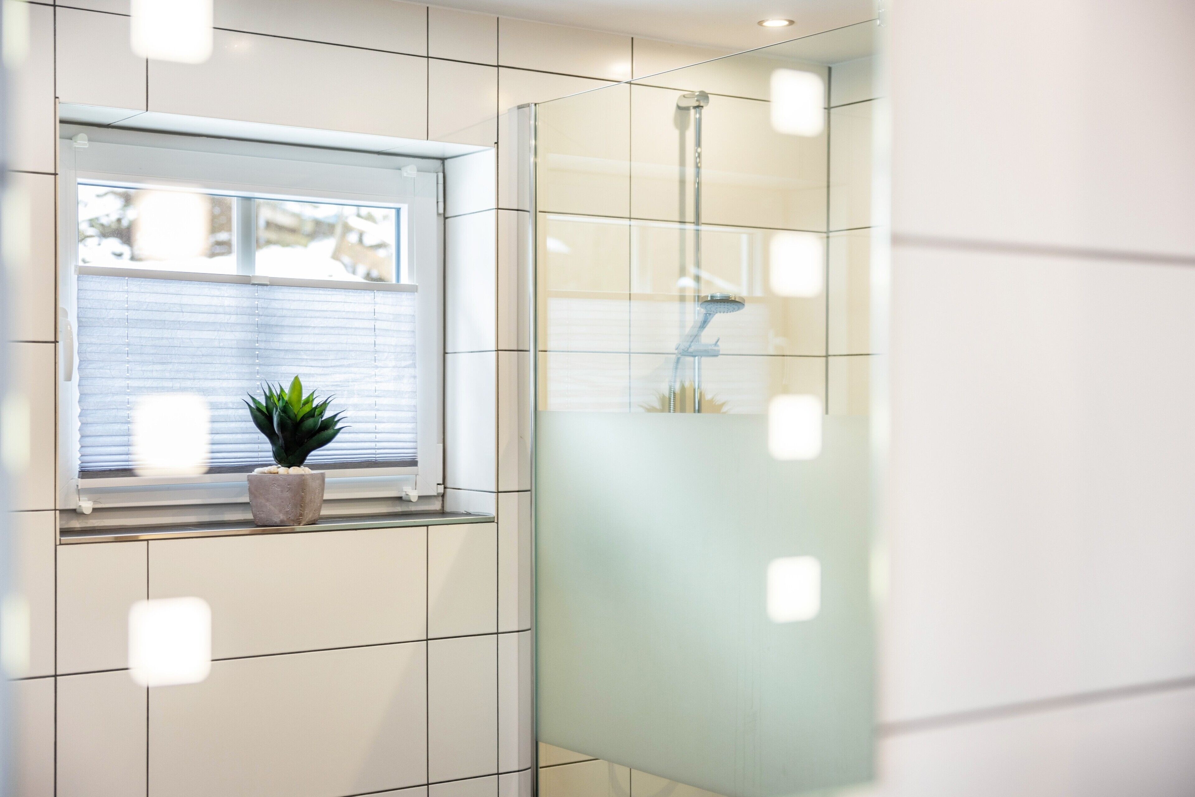 A modern bathroom with a window, a potted plant, and a glass shower enclosure.