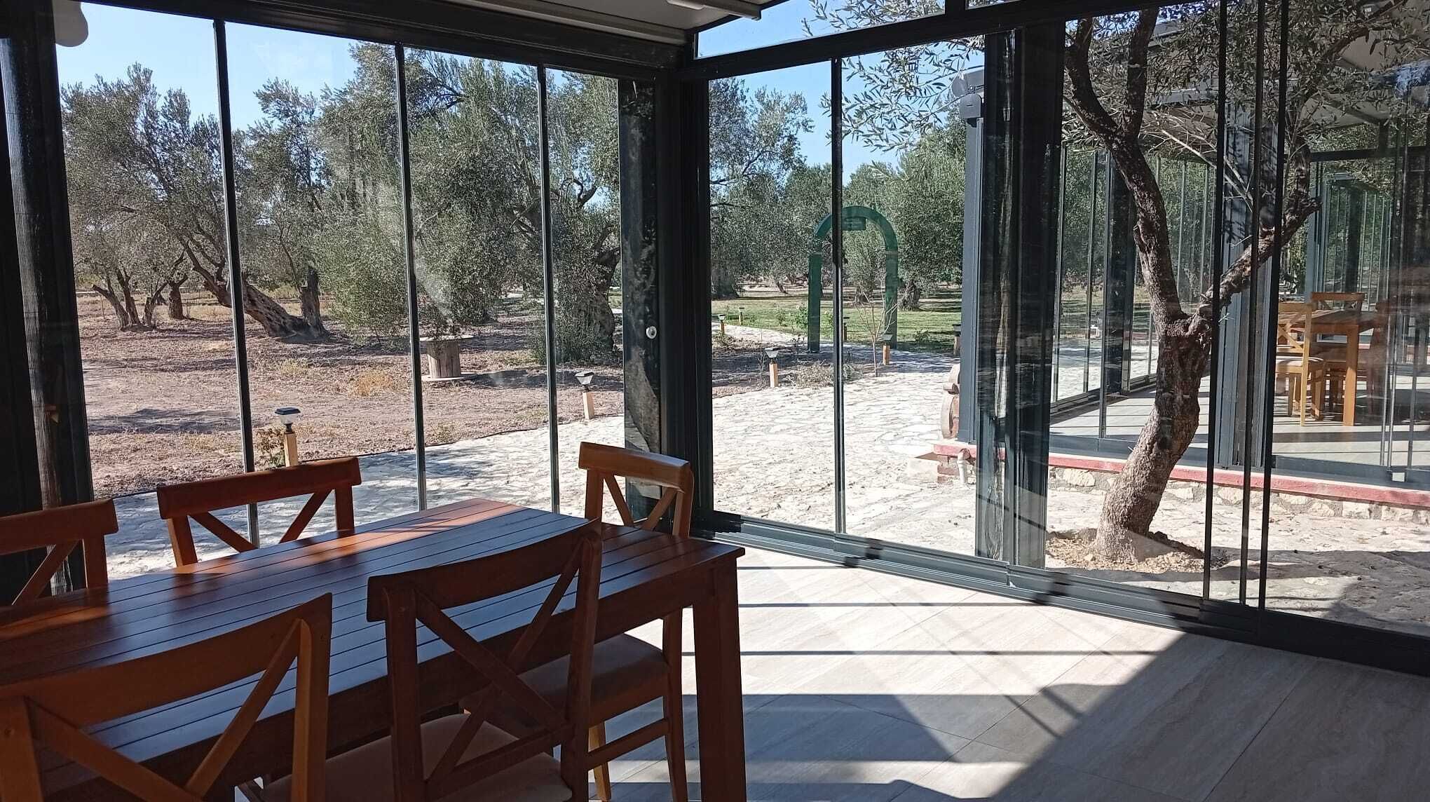 Classic Room | Terrace/patio