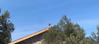 Ayvalık İnfinity Yaşam Vadisi