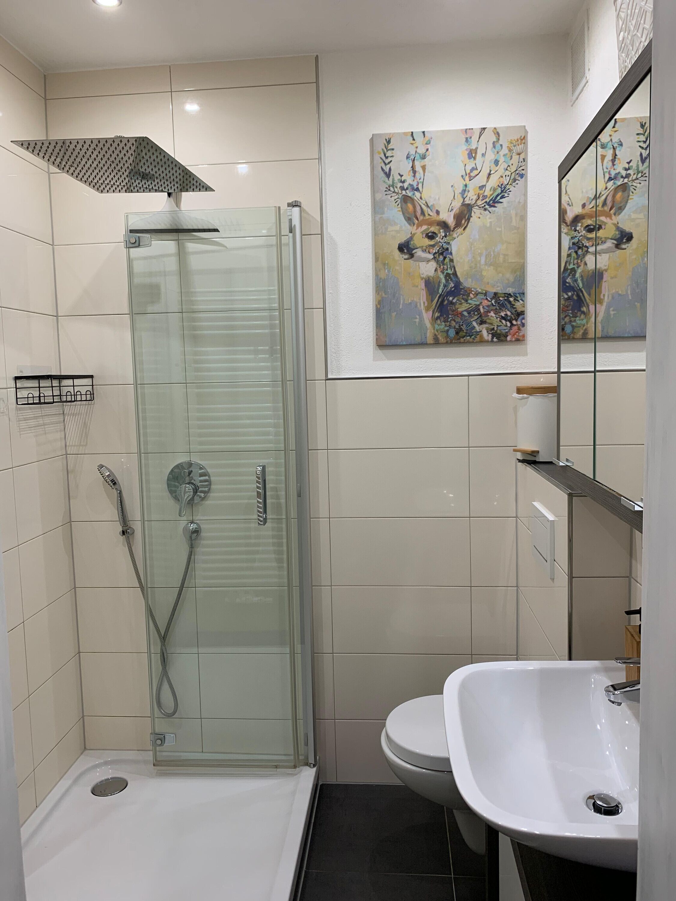 Ducha, secador de pelo y toallas