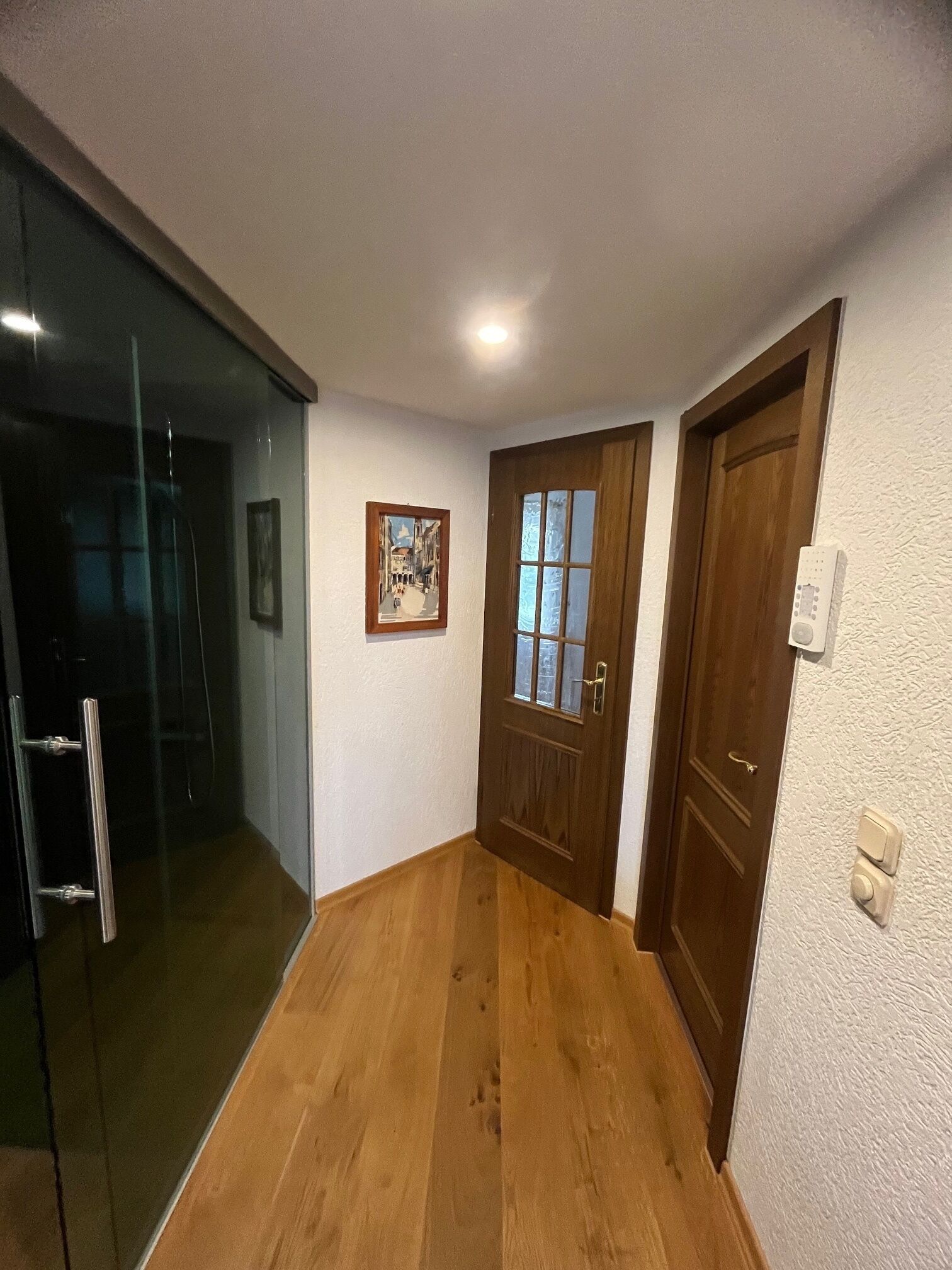 A hallway with wooden flooring, a glass door, and two wooden doors.