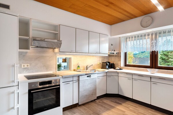 Fridge, oven, stovetop, dishwasher