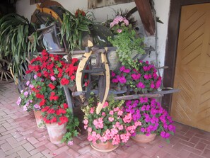 Détail de l’extérieur