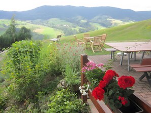 Outdoor dining - Apartment 'Panoramablick' with Mountain View, Shared Terrace and Wi-Fi (Oberharmersbach)