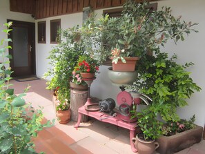 المنطقة المحيطة بالمنشأة