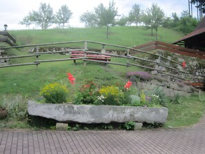 Property grounds - Apartment 'Talblick' with Mountain View, Shared Terrace and Wi-Fi (Oberharmersbach)