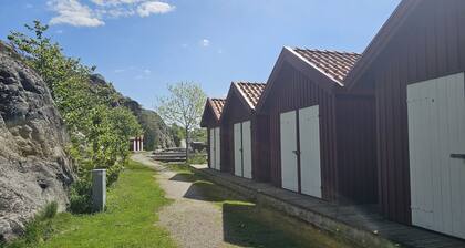 Cottage surrounded by peaceful nature in Tegneby | SE09146