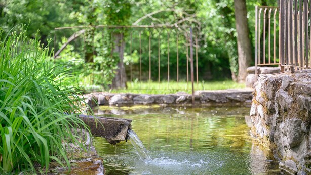 A small pond with water flowing over rocks, surrounded by lush greenery and a metal fence. - Guest Room 'Domaine du chemin Royale' with Shared Terrace, Shared Garden, and Wi-Fi (Saint-Germain)