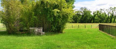 A grassy field with trees and a stone structure.