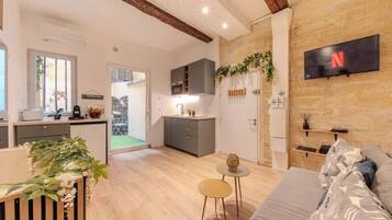 Televisión y libros