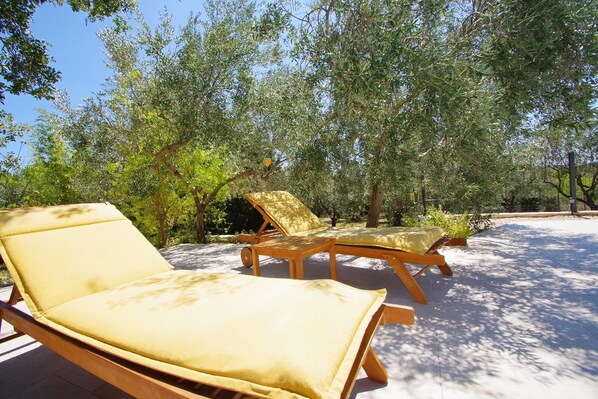 Terrain de l’hébergement 