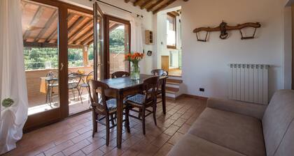 Panoramic, lighted pool, large garden, in the woods, 15 min from the sea (4)