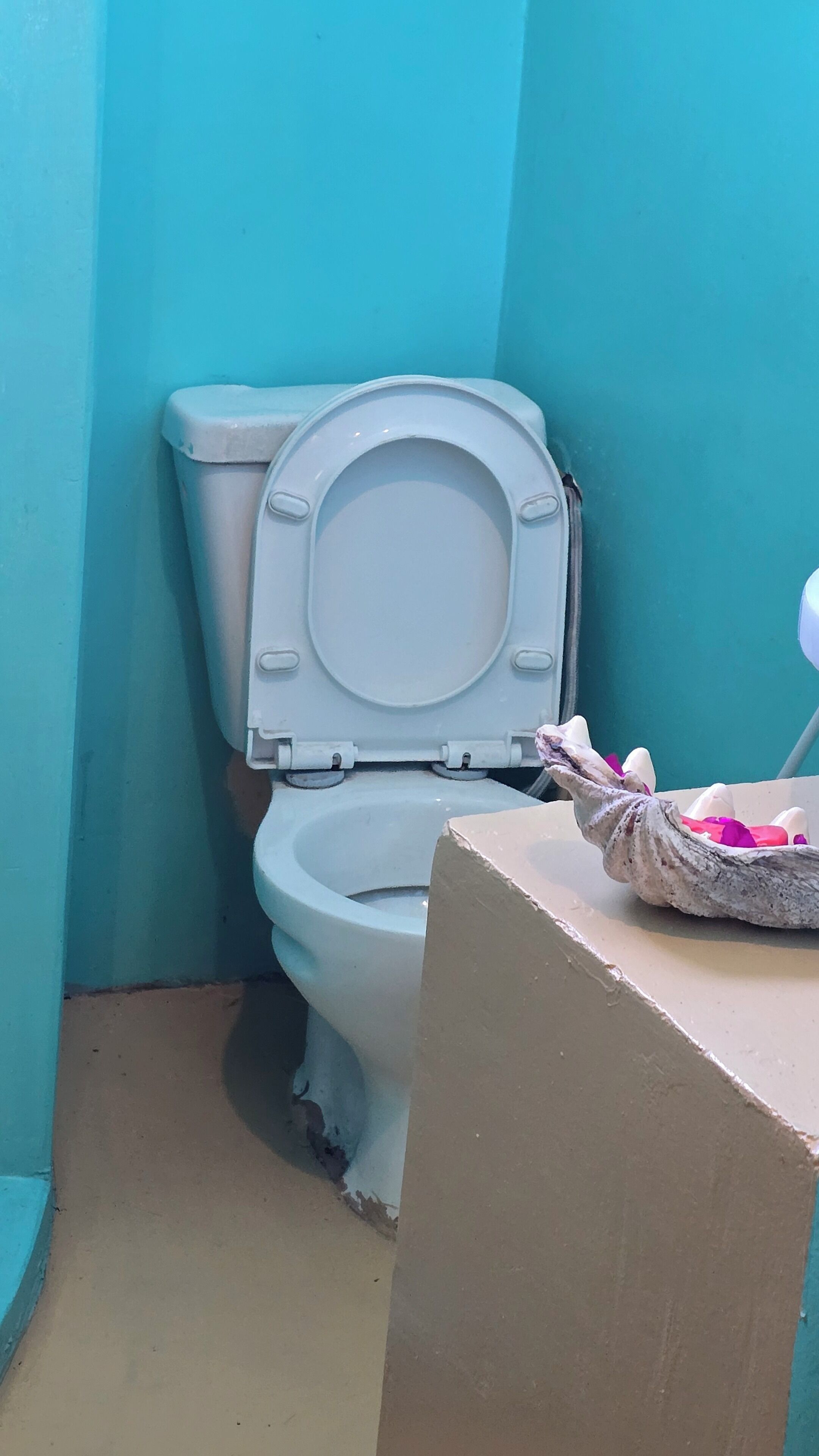 Handtücher, Seife, Toilettenpapier